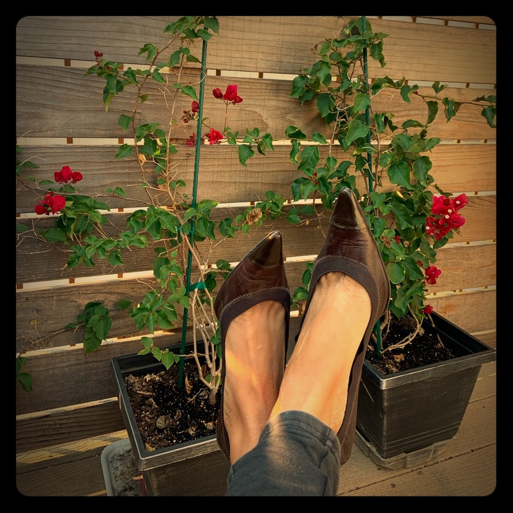 brown, soft sole, pointed toe heels from Brazil